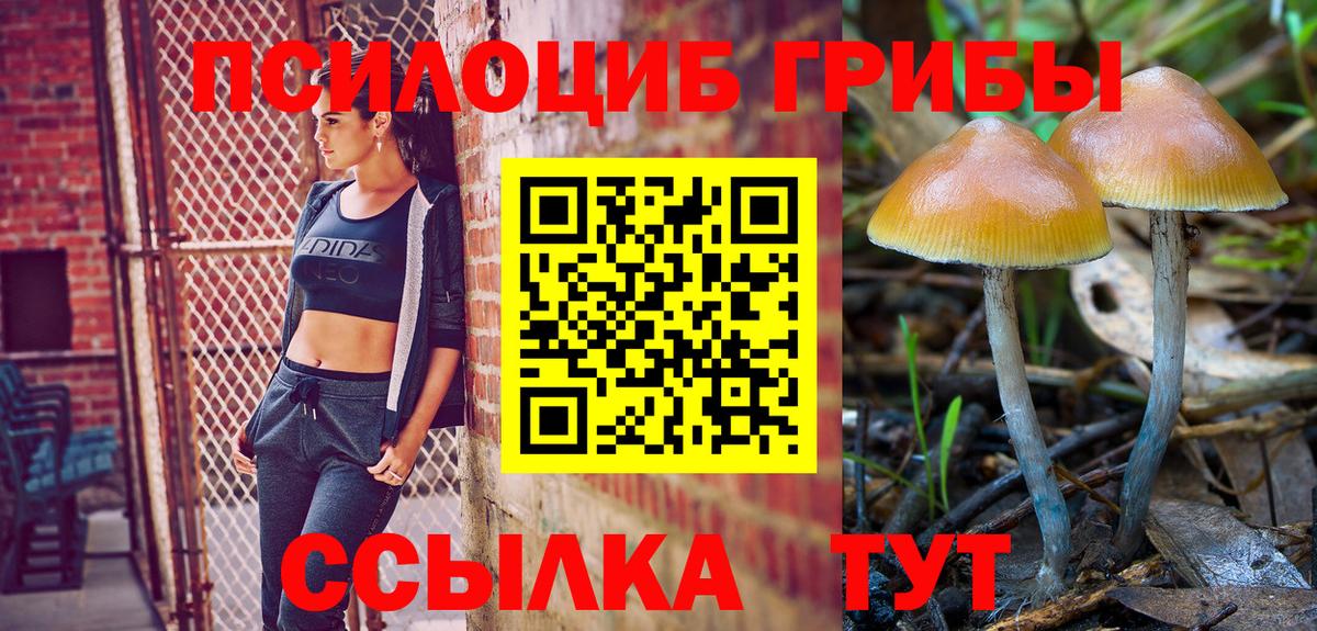 Феодосия  Галлюциногенные грибы Psilocybe  Галлюциногенные грибы Psilocybine cubensis  Вход с VPN 